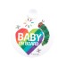 The Very Hungry Caterpillar Baby On Board
